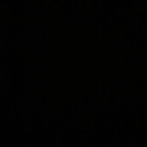 Meet your Posher, Chanelle